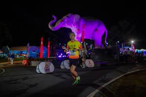 BIB: 
                            <button type="button" onclick="openModal(26552036)" class="btn btn-primary btn-sm float-right btn-popup" data-toggle="modal" data-target=".modal-high-quality">
                        <i class="fas fa-shopping-cart"></i> Add to Cart
                    </button>
                                            <button type="button" onclick="isThisMe(26552036, true)" class="btn btn-success btn-sm float-right btn-popup btn-isme hidden" data-toggle="tooltip" data-placement="bottom" title="นี่คือรูปของคุณใช่ไหม คลิกที่นี่เพื่อเอาเข้าอัลบั้ม">
                        <i class="fas fa-plus"></i> Add to album
                    </button>
                    <button type="button" onclick="isThisMe(26552036, false)" class="btn btn-warning btn-sm float-right btn-popup btn-isnotme hidden">
                        <i class="fas fa-ban"></i> Remove from album
                    </button>